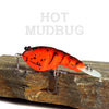 Hot Mudbug Cyber Craw