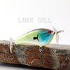 PH Custom Lures Squeaky P in Lime Gill